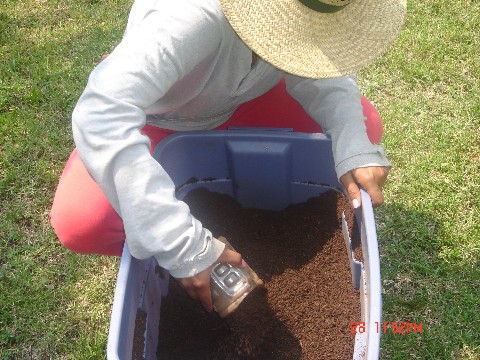 Screened Compost Medium Web view.jpg